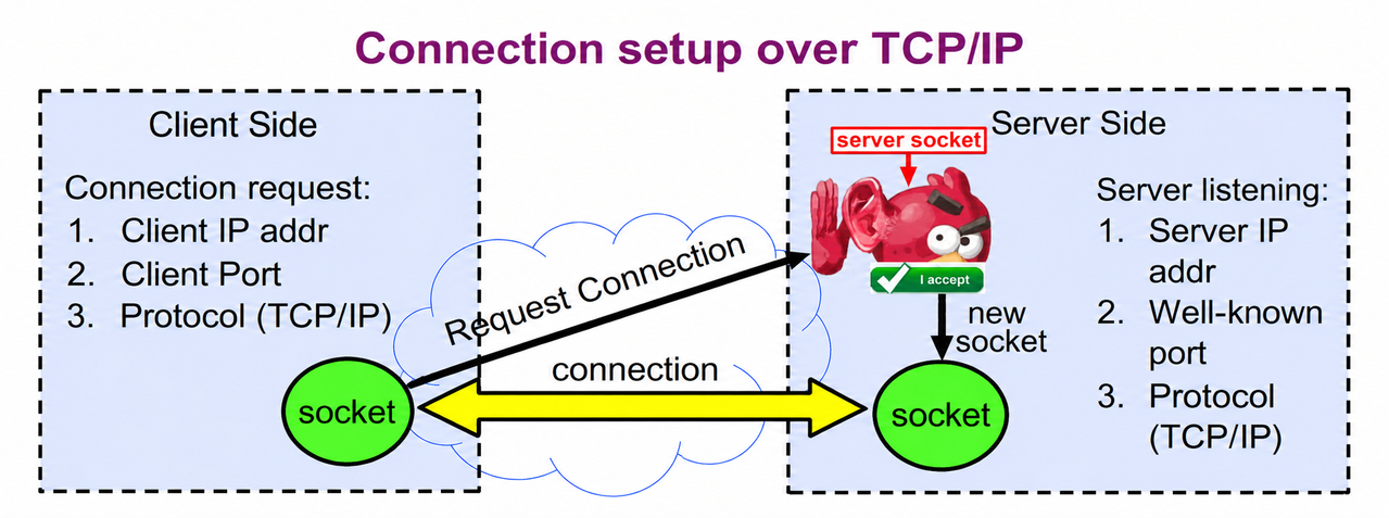 💻 CSC3150 Week 3 System Prog.: Files & Sockets/Pipes 相关图片